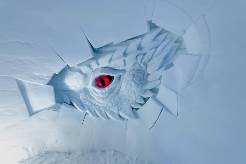 From Tromsø: Daytime Snowshoeing and Snow Park Visit - Final Thoughts