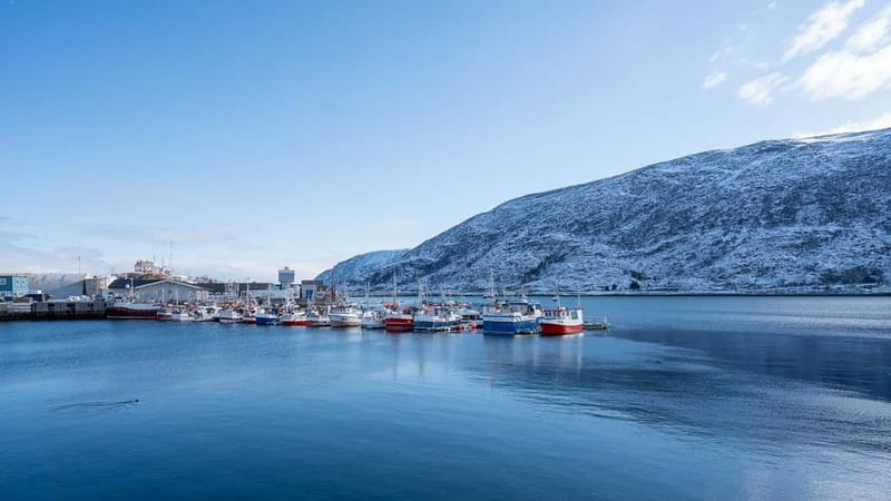 From Tromsø: Experience Vannøya Island Wild, Remote & Real - Crossing to the Heart of Arctic Life