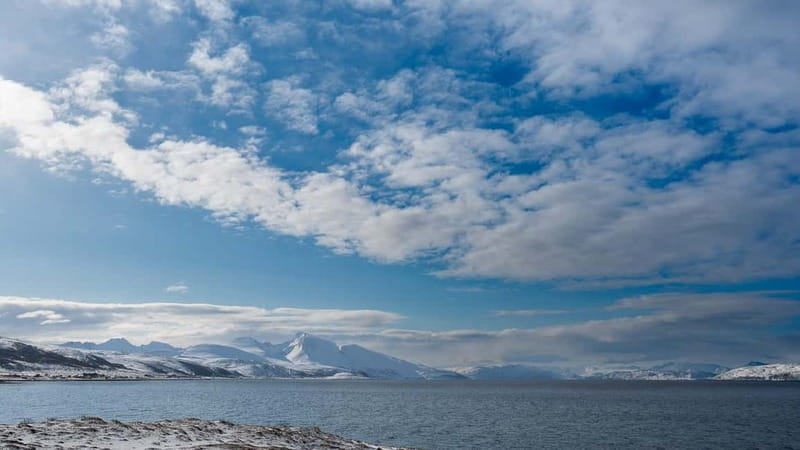 From Tromsø: Experience Vannøya Island Wild, Remote & Real - Who this Tour is for and Why it’s Worth It