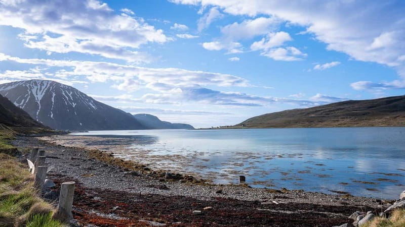 From Tromsø: Experience Vannøya Island Wild, Remote & Real - Final Thoughts