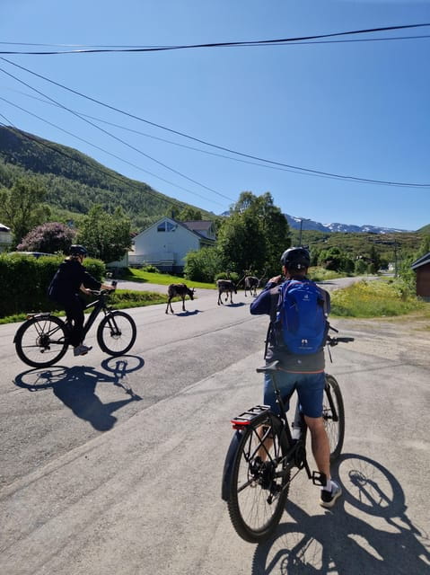 From Tromsø: Fjord Sightseeing With E-Bike - Starting Point and Logistics