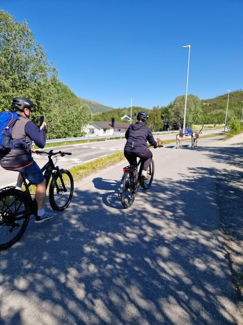 From Tromsø: Fjord Sightseeing With E-Bike - Price and Value