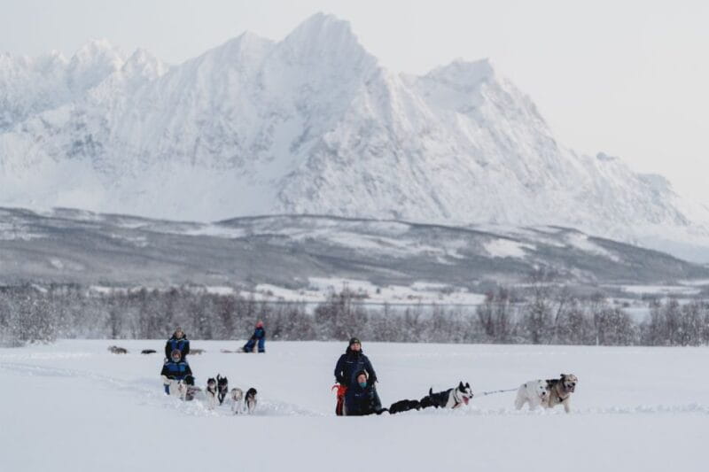 From Tromsø: Fun and Easy Dog Sledding Adventure - Relaxing in Sami Style: Campfire and Cozy Comforts