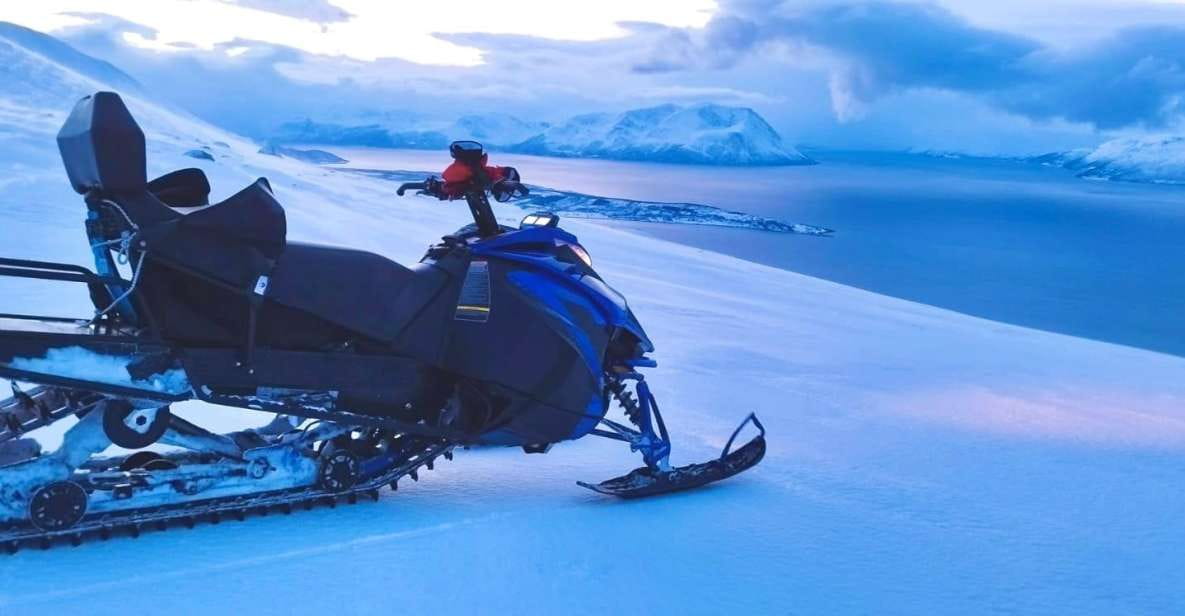 From Tromsø: Lyngen Alps Guided Snowmobile Tour - Key Points