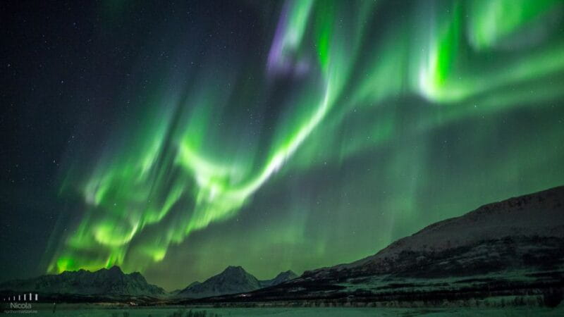 From Tromsø: Northern Lights Tour - Chasing Lights in the Norwegian Wilderness: A Detailed Review