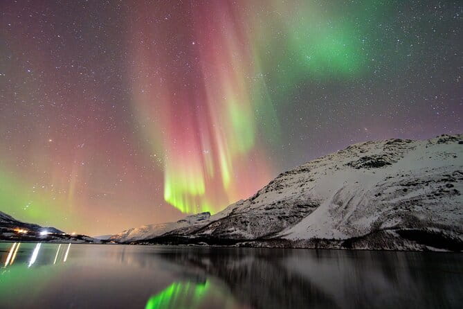 From Tromsø: OFFICIAL Northern Lights Safari by Minibus - Key points / Takeaways