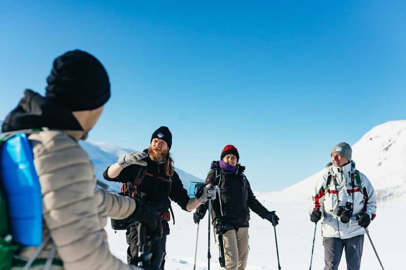 From Tromsø: Snowshoeing Hike with Picnic Lunch and Photos - Key points / Takeaways