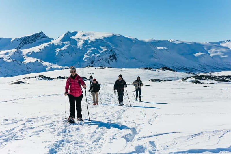 From Tromsø: Snowshoeing Hike with Picnic Lunch and Photos - Frequently Asked Questions