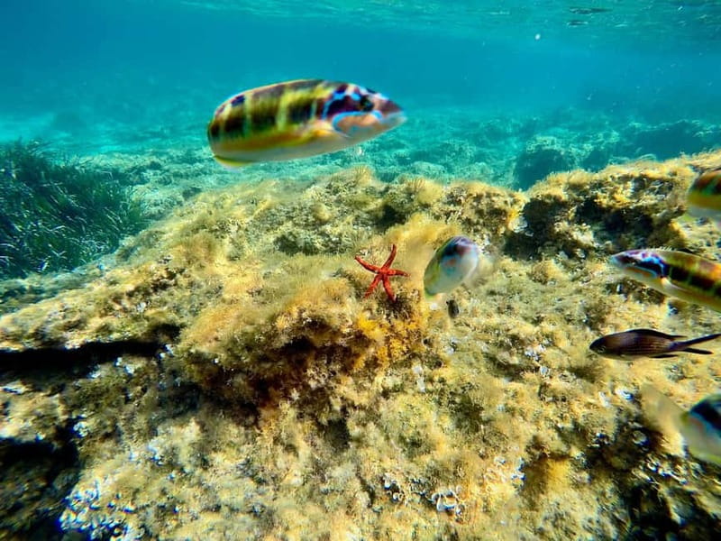 From Tropea: Max 8 People esclusive Trip Costa degli Dei - The Value and Who Should Consider This Tour