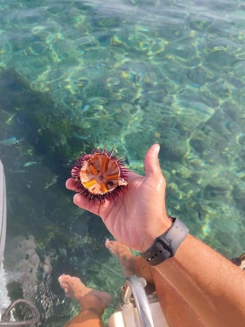 From Tropea: Max 8 People esclusive Trip Costa degli Dei - Frequently Asked Questions