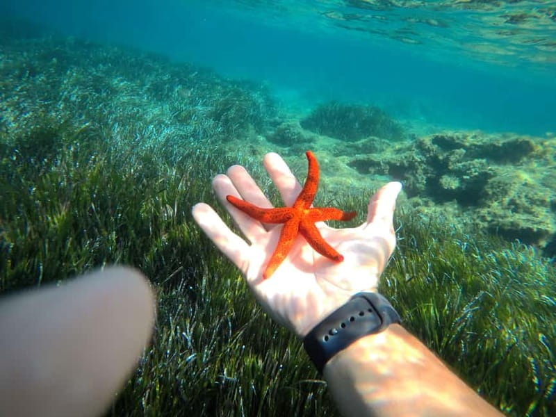 From Tropea: Max 8 People esclusive Trip Costa degli Dei - Final Thoughts