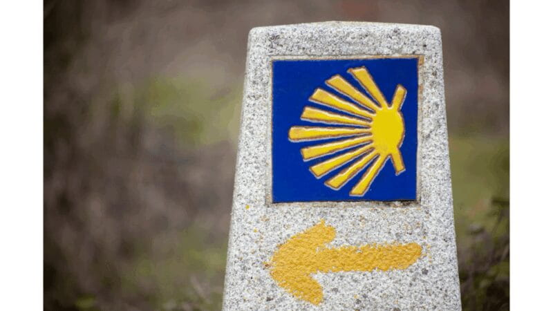 From Tui: 9-Day Guided Camino Walking Tour to Santiago - Who Should Consider This Tour?