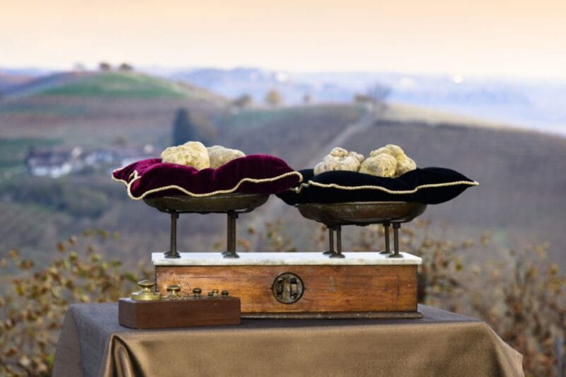 From Turin: Half-Day Truffle Hunting and Lunch in Piedmont - Practical Details and Considerations