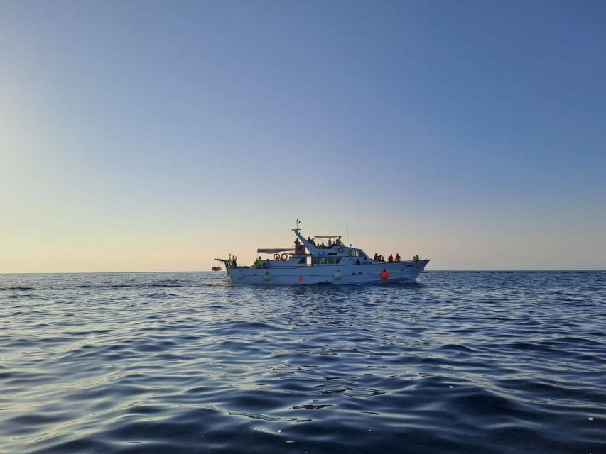 From Umag: Day Cruise to Poreč With Lunch and Swimming - Included Amenities