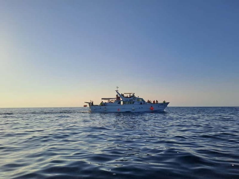 From Umag: Fish Picnic to Pore with Lunch and Swimming - Exploring the Experience: An In-Depth Look at the Istrian Coast Cruise