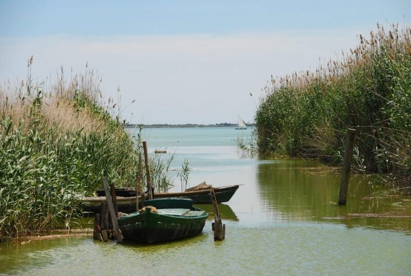 From Valencia: Albufera Boat Ride & Food (Paella) Included - FAQ