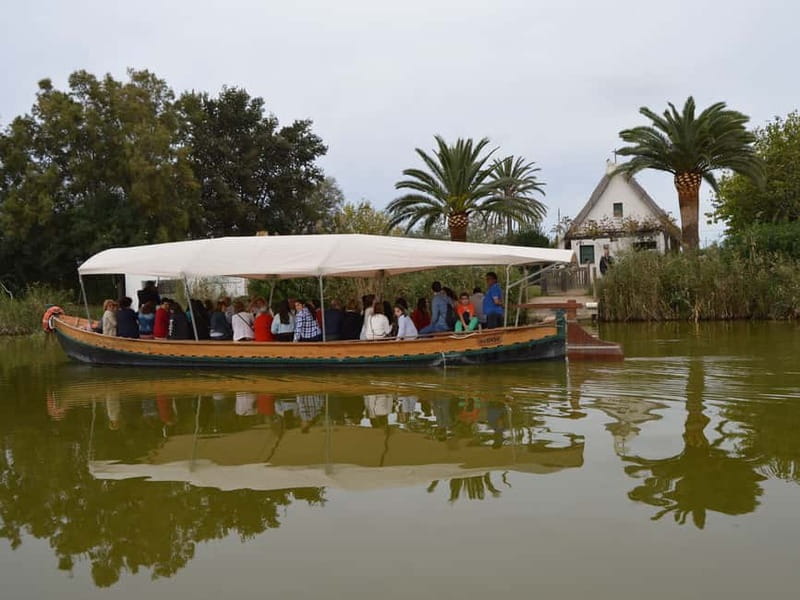 From Valencia: Albufera Natural Park Bus, Cruise and Lunch - Who Will Love This Tour?