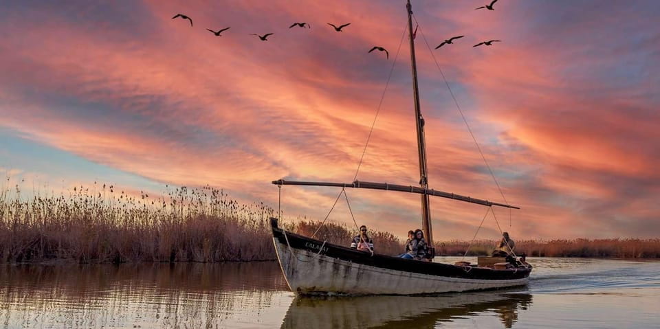 From Valencia: Albufera Natural Park With Sunset Boat Tour - Highlights and Experience
