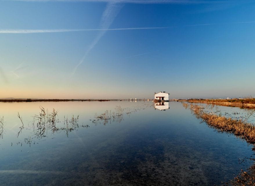From Valencia: Albufera Tour With Paella, Boat Ride & Walk - Important Considerations