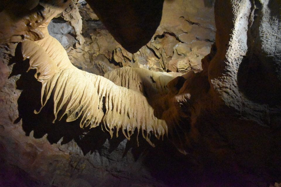 From Valencia: Caves of San José Guided Excursion and Ticket - Key Points