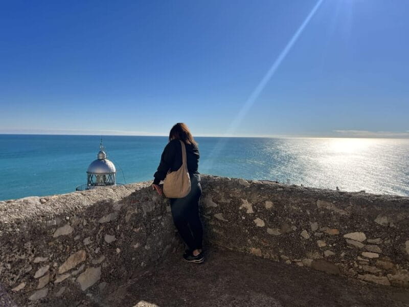 From Valencia: Day Trip to Peñiscola with Castle Visit - Logistics and Value: Is It Worth It?
