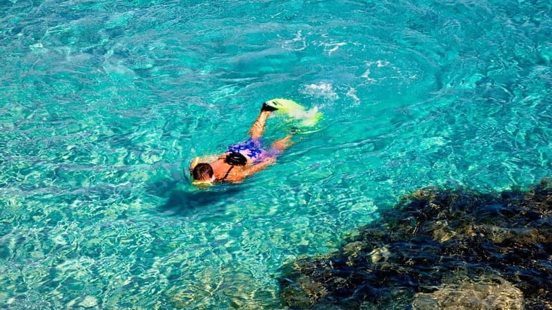 From Valencia/Gandia/Benidorm: Tabarca Island Full Day Trip - Who This Tour Is Best For