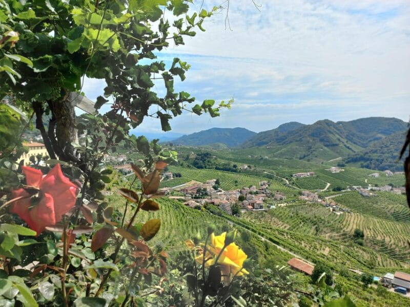 From Venice and Treviso: Prosecco Hills Wine and Food Tour - A Closer Look at the Prosecco Hills Wine and Food Tour