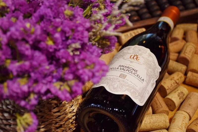 From Venice: day trip to Amarone and Prosecco wine regions - Who Is This Tour for?