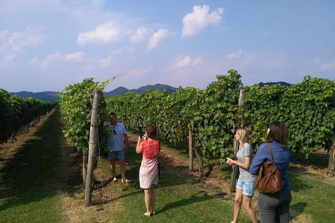 From Venice: Wine Tour in the Euganean Hills - Final Thoughts