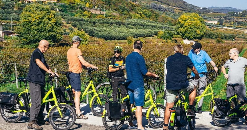 From Verona: Amarone Wine E-Bike Tour with Tasting - Key points / Takeaways