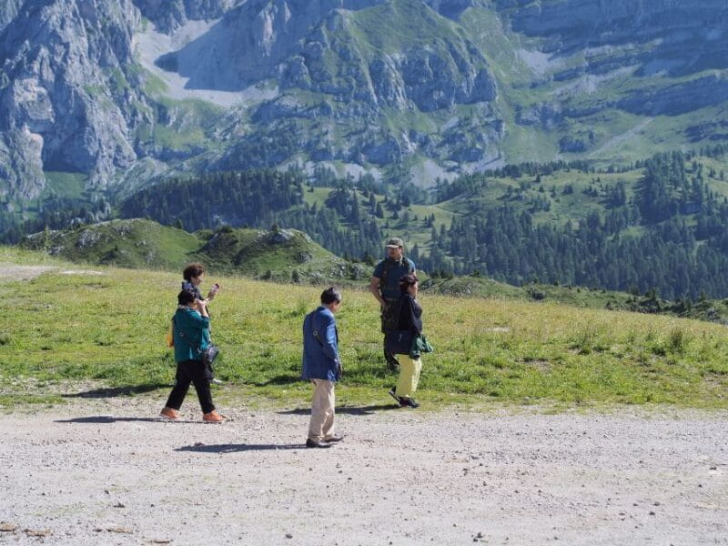 From Verona: Full-day Dolomites Mountains Guided Tour - Who Should Consider This Tour?