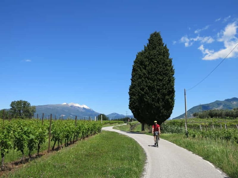 From Verona: Lake Garda E-Bike tour with lunch SELF GUIDED - Cycling Back to Verona