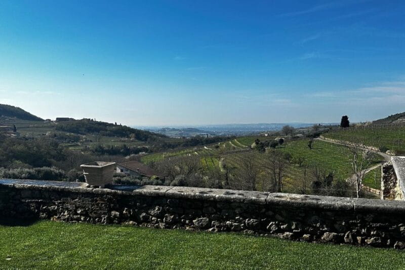 From Verona: Valpolicella and Amarone full day private tour - Key points / Takeaways