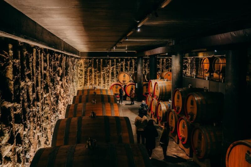 From Verona: Valpolicella and Amarone Wine Tasting Tour - Key points / Takeaways