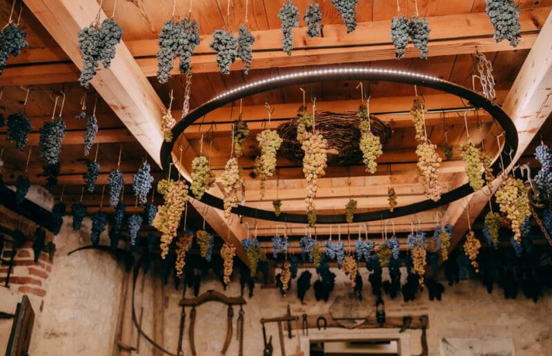 From Verona: Valpolicella and Amarone Wine Tasting Tour - Price and Value: A Worthwhile Investment