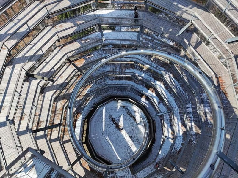 From Vienna: Hallstatt and Treetop Path Private Day Trip - Key points / Takeaways