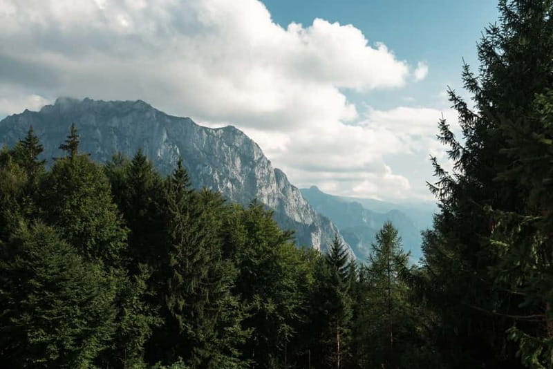 From Vienna: Hallstatt and Treetop Path Private Day Trip - Final Thoughts: Is It Worth the Price?