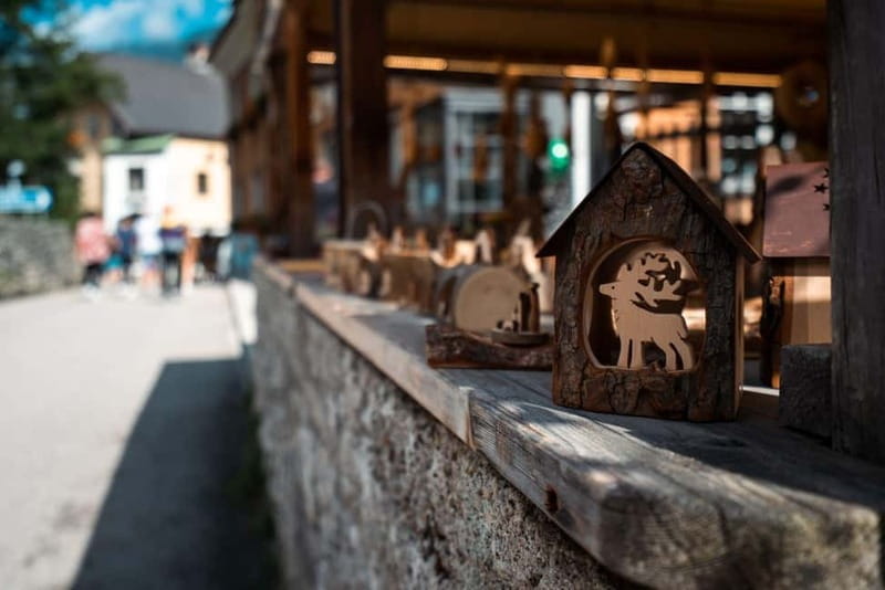 From Vienna: Hallstatt and Treetop Path Private Day Trip - FAQ