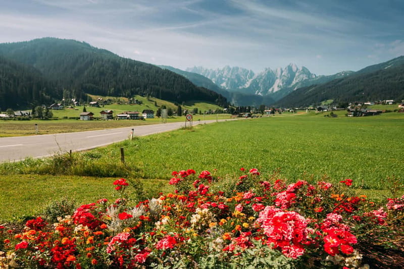 From Vienna: Salzburg & Hallstatt Day Tour - Price and Logistics: Good Value with a Few Caveats