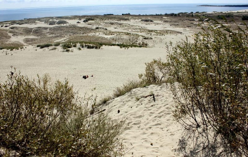 From Vilnius: Day Trip to Curonian Spit National Park - The Itinerary: What You Can Expect