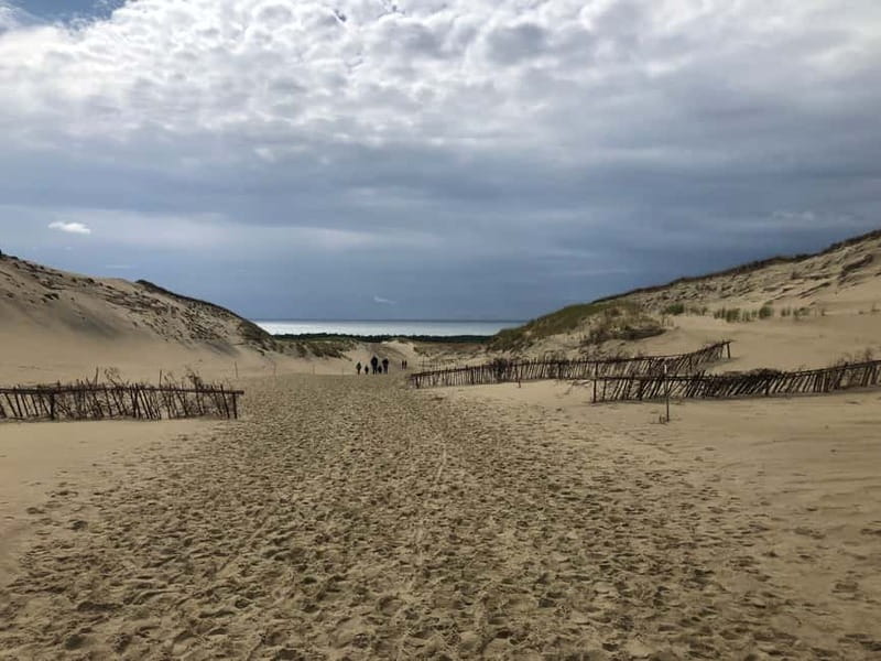 From Vilnius: Day Trip to Curonian Spit National Park - Price and Logistics: A Balanced View