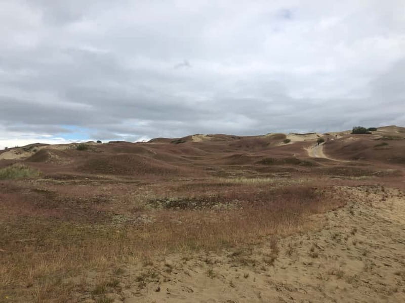 From Vilnius: Day Trip to Curonian Spit National Park - Frequently Asked Questions