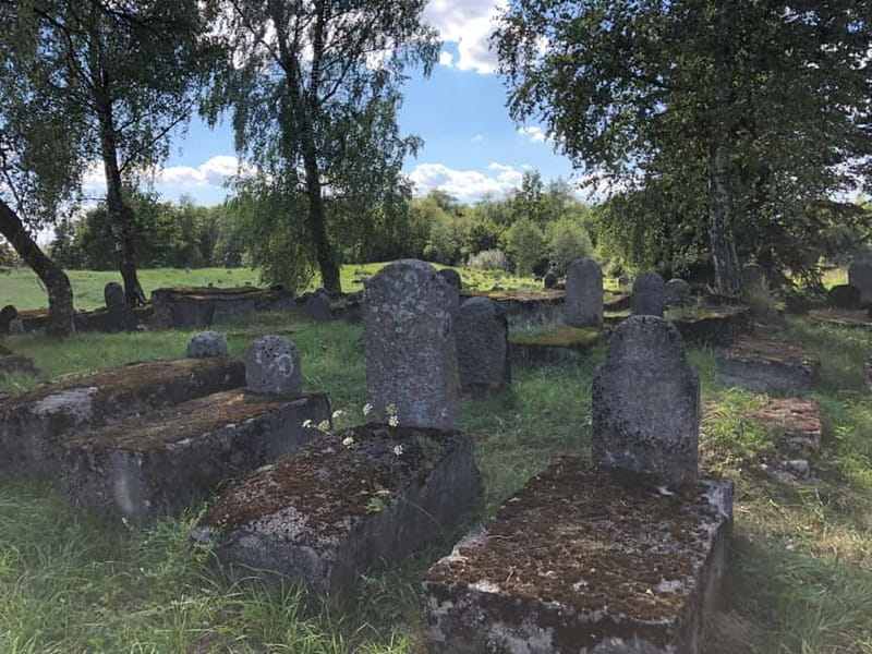 From Vilnius: Guided Jewish Heritage Day Trip to Kaunas - The Sum Up