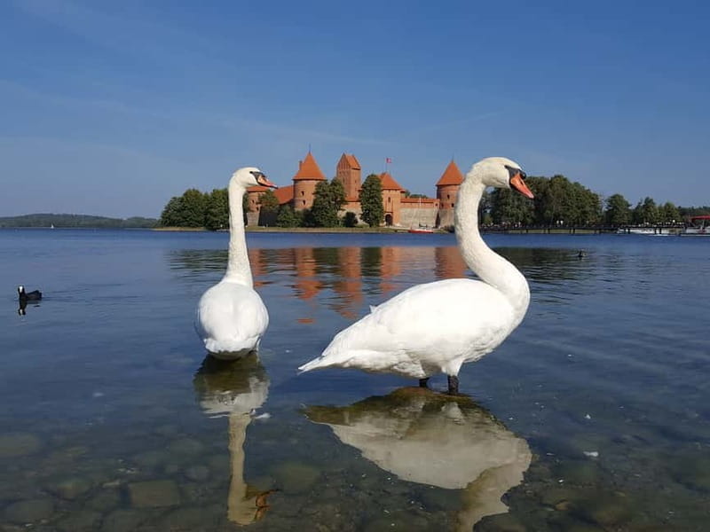 From Vilnius: Trakai Castle and Paneriai Memorial Tour - Practical Details and What You Should Know