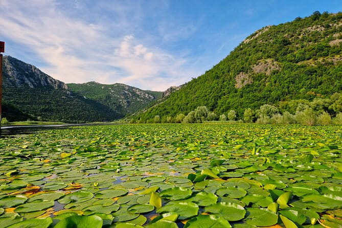 From Virpazar: Visit Karu, the hidden pearl of Lake Skadar - Who Will Love This Tour?