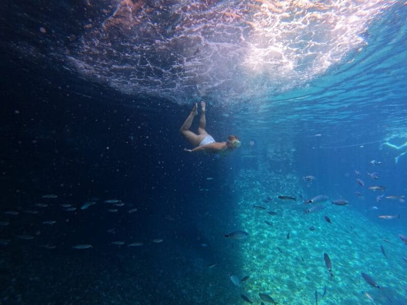 From Vis: Speedboat tour - Vis, Bievo & Blue Cave (shared) - Key points / Takeaways