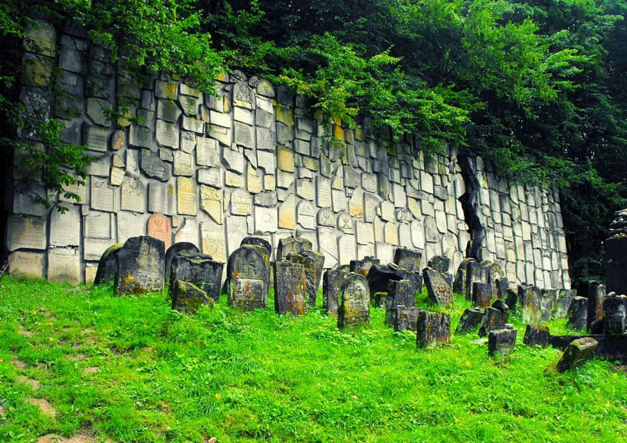 From Warsaw: Kazimierz Dolny Day Tour With Lunch - Key Points