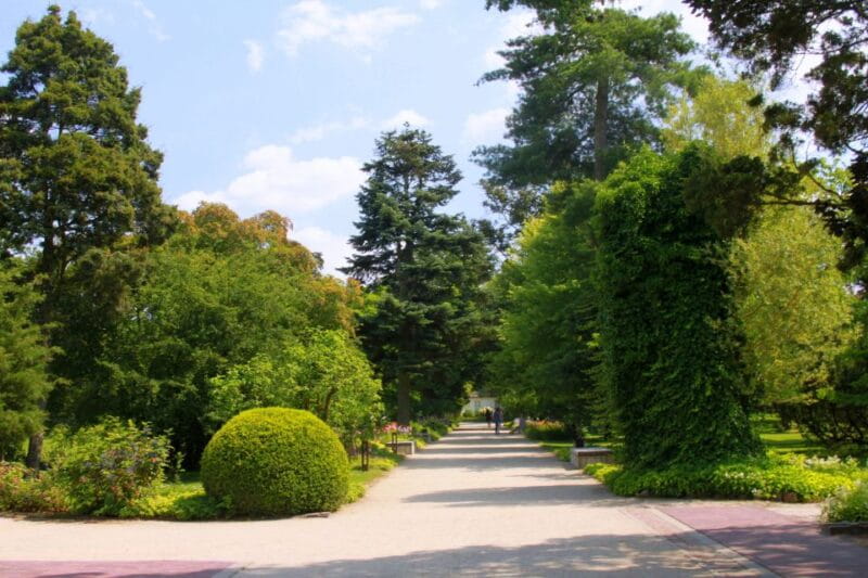 From Warsaw: Tour to Chopin's Birthplace - elazowa Wola - The Church of Saint John the Baptist in Brochów