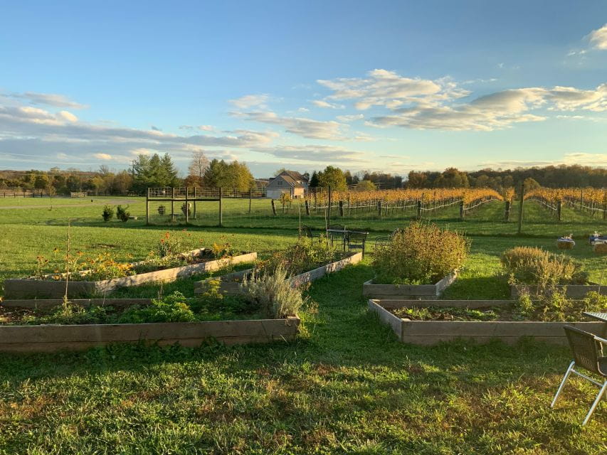 From Washington, DC: Virginia Wine Country Private Day-Trip - Pickup and Drop-off