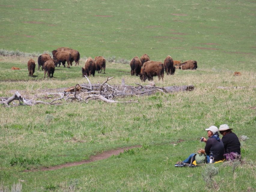From West Yellowstone: Lamar Valley Wildlife Tour by Van - Included in the Tour